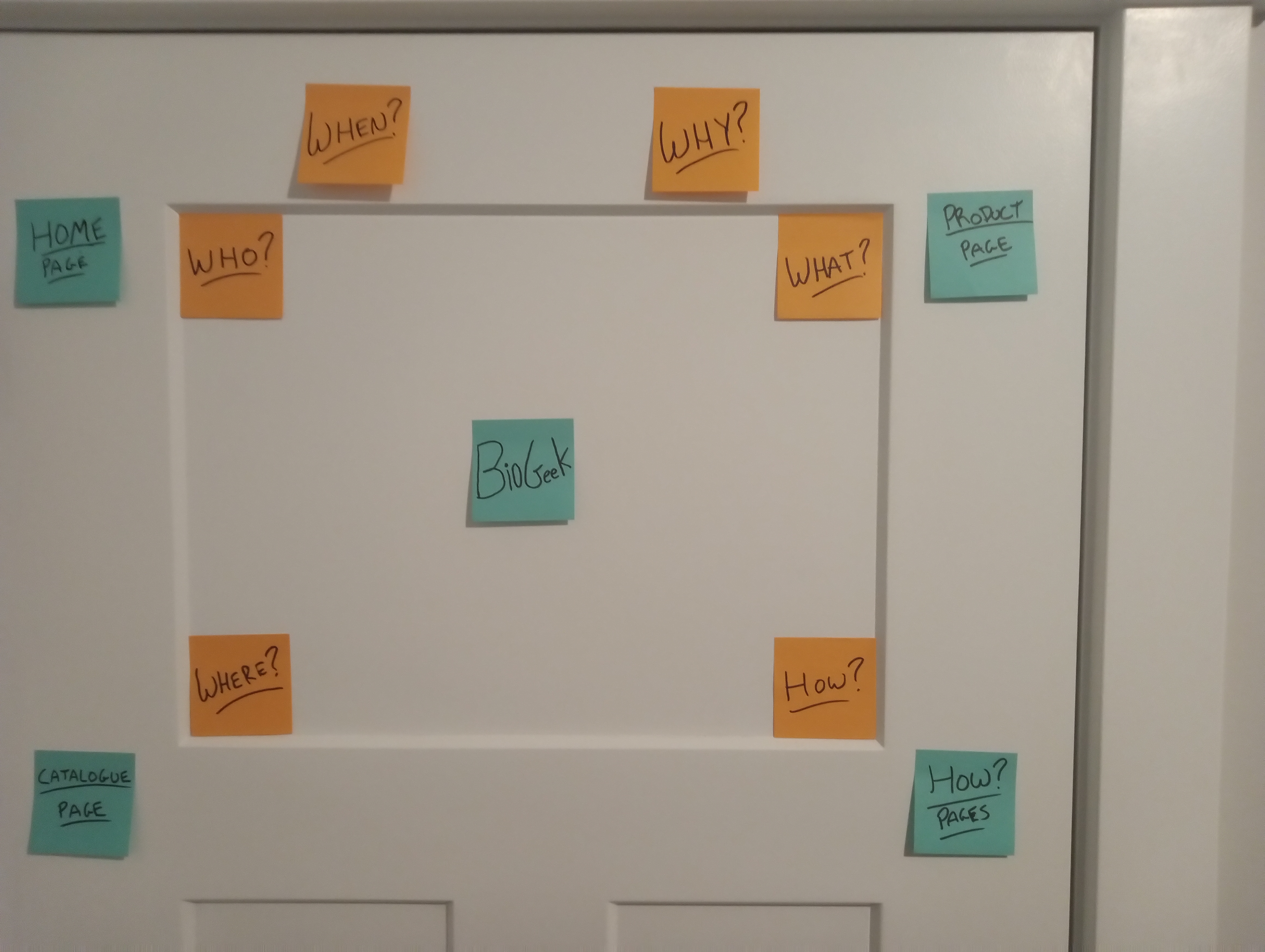 Early BioGeek journey map board with who, when, why, what, where, and how questions